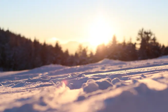 closed up photography of snow near tree